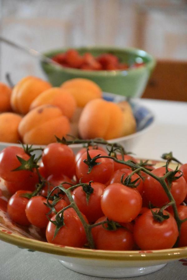 Art & Breakfast Bed & Breakfast Ripabottoni ภายนอก รูปภาพ